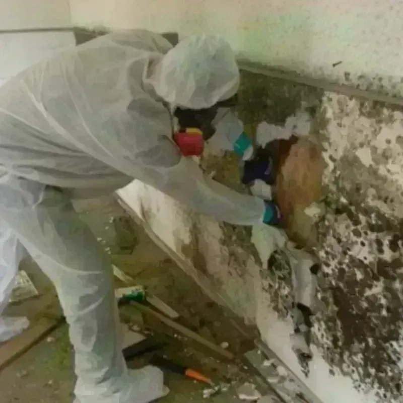 Mold Remediation and Removal in Matawan, NJ