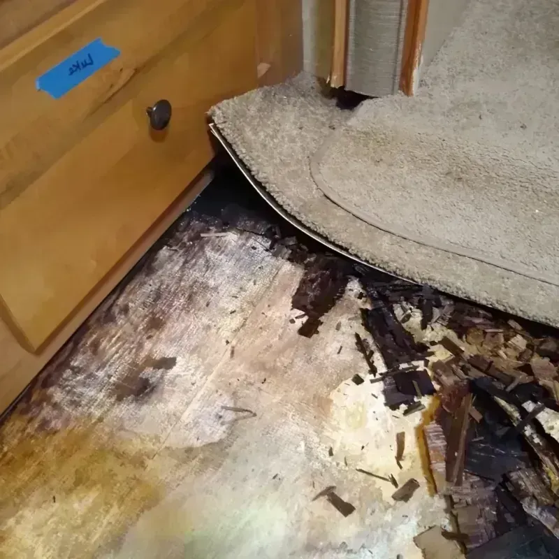 Wood Floor Water Damage in Matawan, NJ